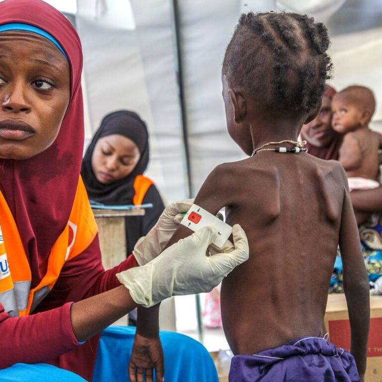 North-east Nigeria: Ringing the alarm bell on the malnutrition crisis
